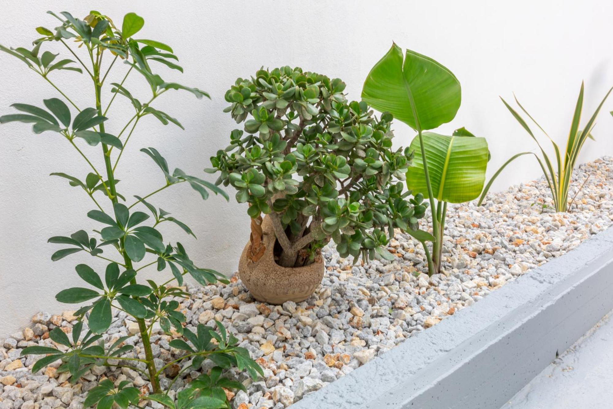 Garden Luxury Apartment 이라클리온 외부 사진